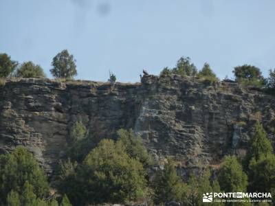 Cañones del Río Cega y  Santa Águeda  – Pedraza;berrea en cazorla puente el pilar